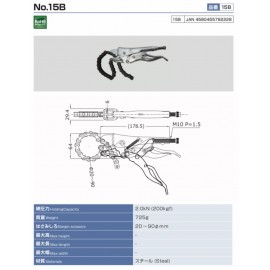15B