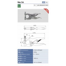 1A